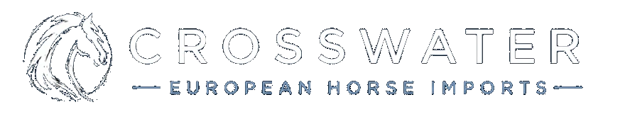 Crosswater, European Horse Imports